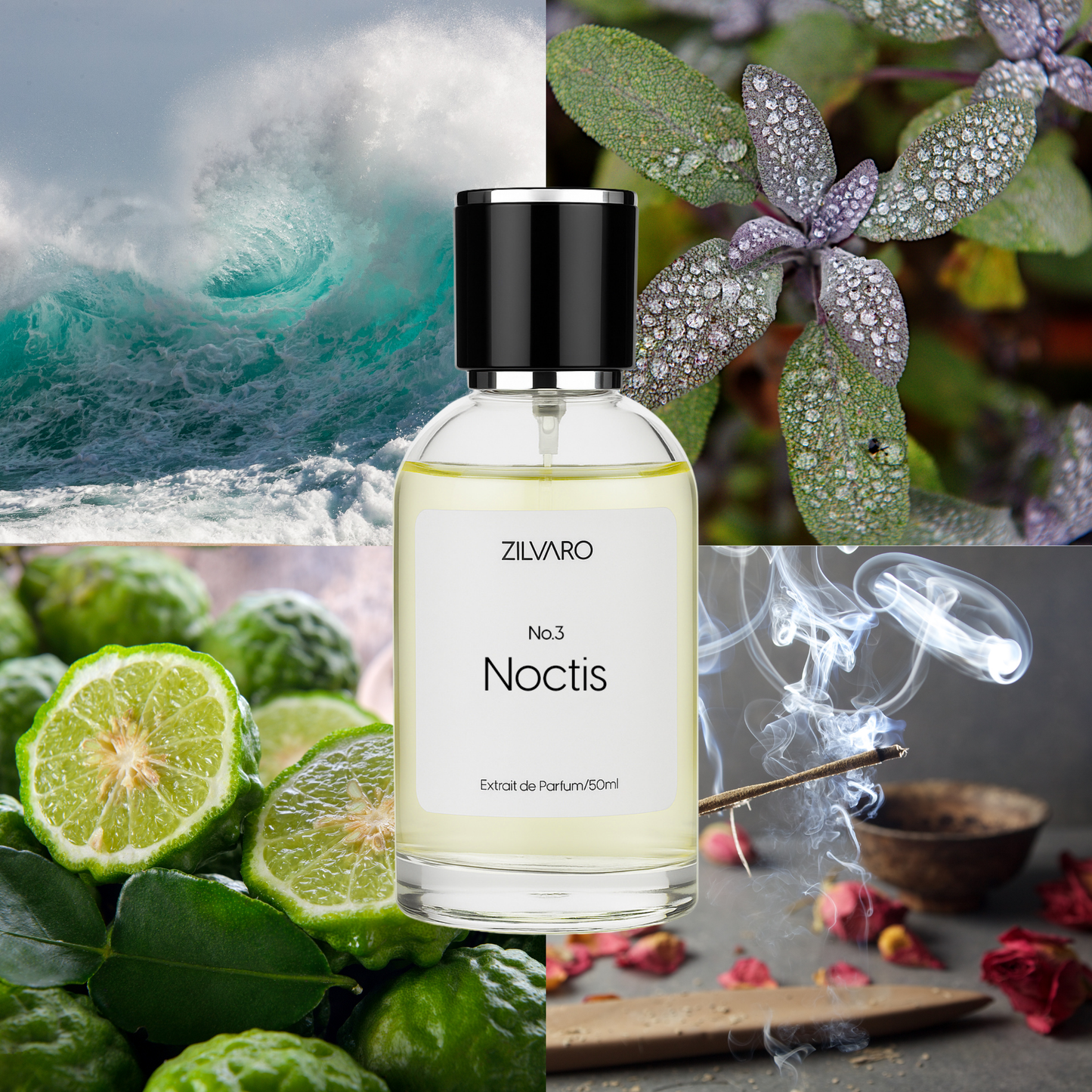 Noctis - Inspired by Aqua di Gio Profumo