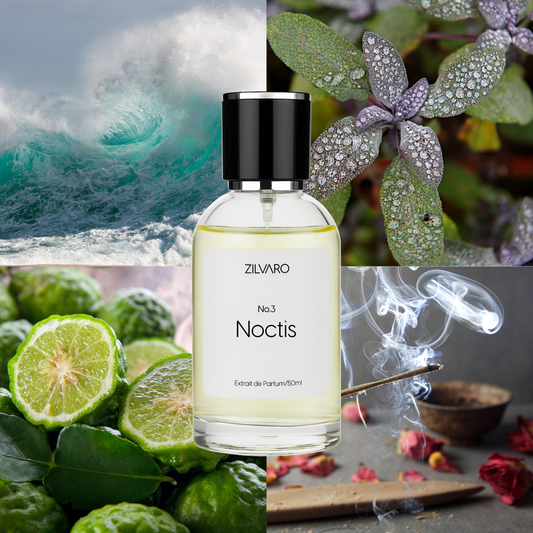 Noctis - Inspired by Aqua di Gio Profumo